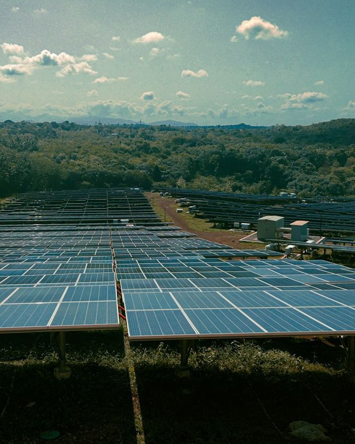 Rows of blue solar panels in a ground-mounted array